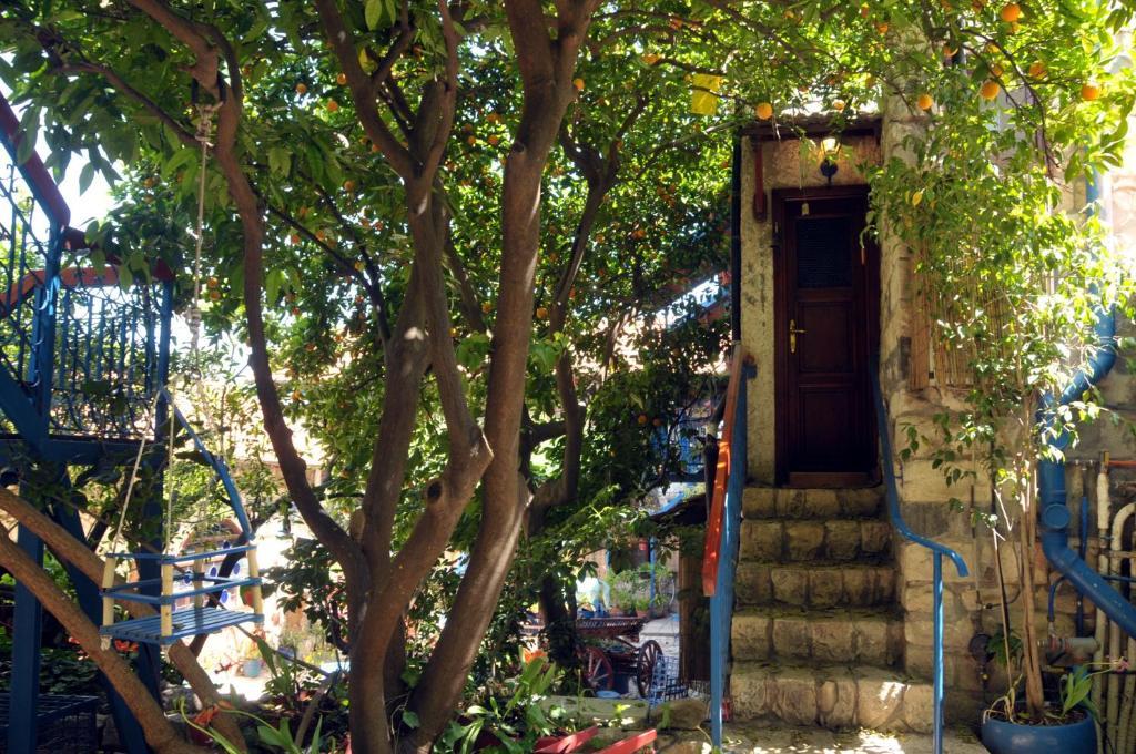 Villa Tehila - By V Club Chain Rosh Pinna Bagian luar foto