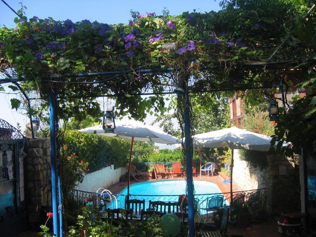 Villa Tehila - By V Club Chain Rosh Pinna Bagian luar foto